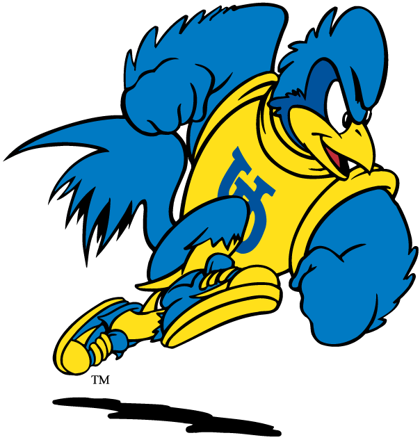 delaware blue hens 1993-pres mascot logo v2 diy iron on heat transfer